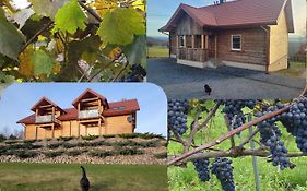 Fantastic View Vineyard Beskid Mountains